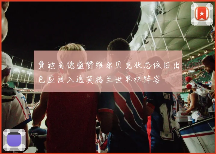 费迪南德盛赞维尔贝克状态依旧出色应该入选英格兰世界杯阵容